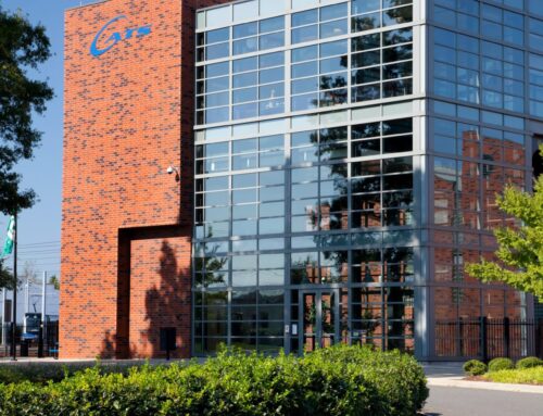 CATS | Charlotte, NC